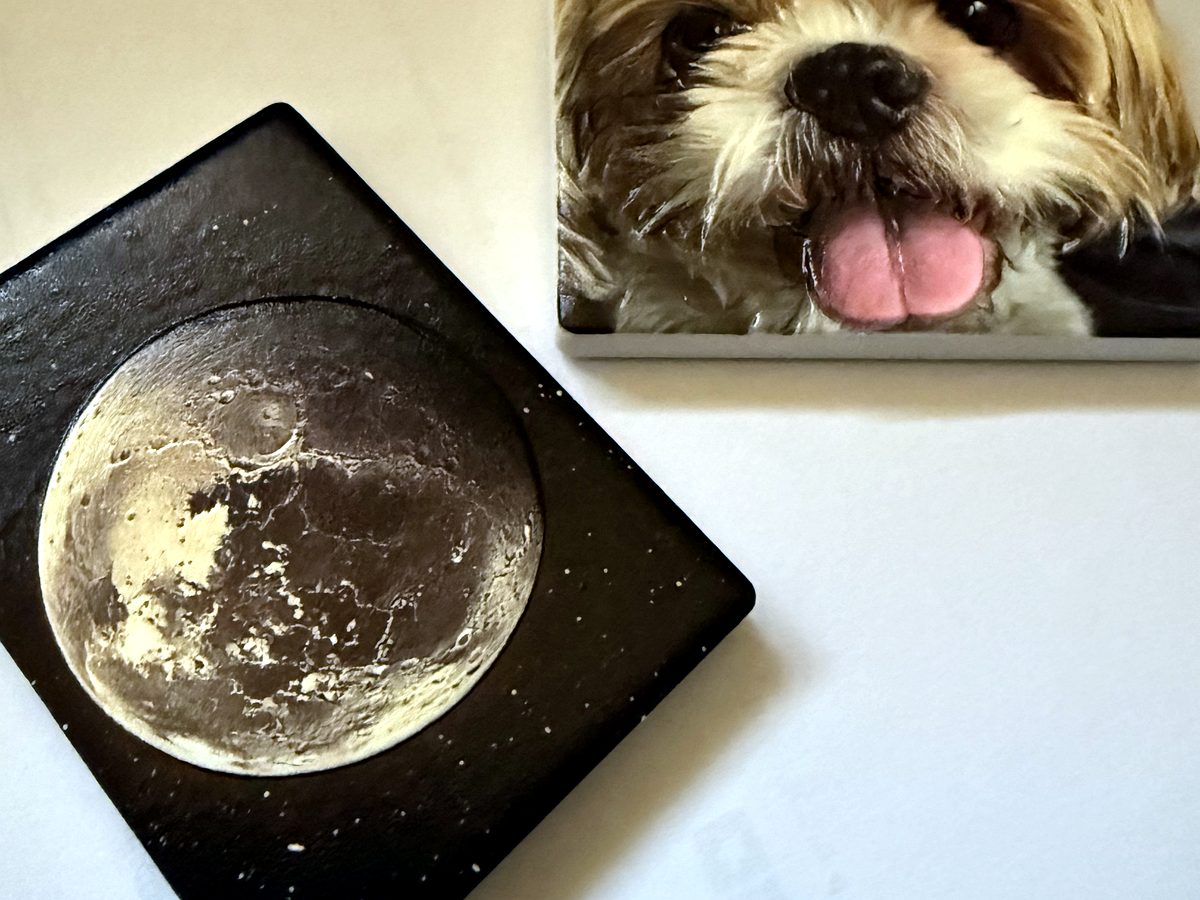 Personalised printed magnets: a full-moon design and a pet photo